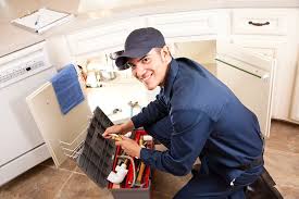 Best 24/7 Emergency Plumbing Services  in Oak Forest, IL